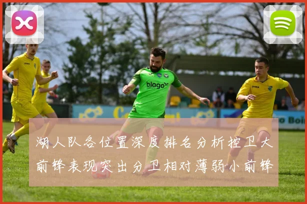 湖人队各位置深度排名分析控卫大前锋表现突出分卫相对薄弱小前锋与中锋处于中游水平