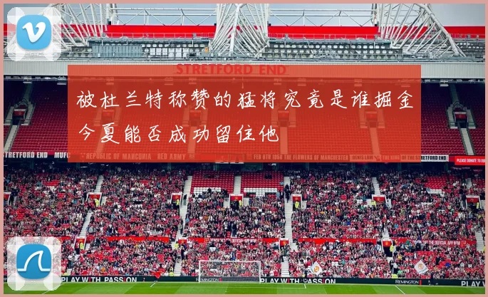 被杜兰特称赞的猛将究竟是谁掘金今夏能否成功留住他