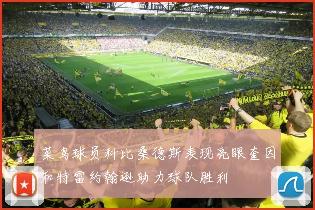 菜鸟球员科比桑德斯表现亮眼奎因和特雷约翰逊助力球队胜利