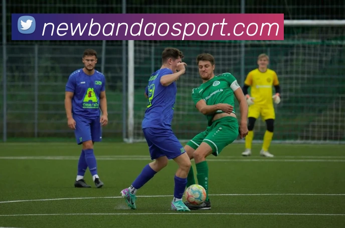 半岛足球体育服务体系