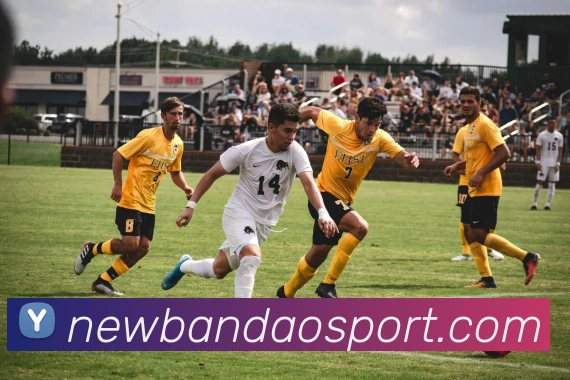 多媒体互动体验