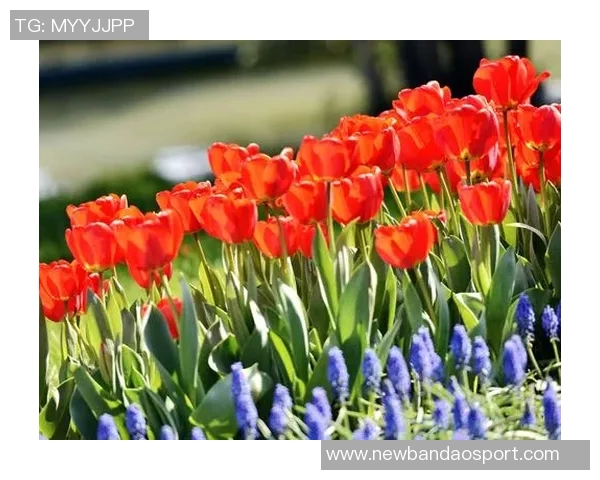 萨利巴社交媒体分享防守里沙利松照片坚定宣言北伦敦依旧是红色的