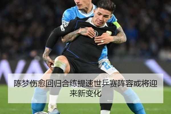 陈梦伤愈回归合练提速世乒赛阵容或将迎来新变化 | bandao